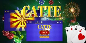 bài catte là gì