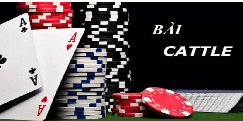 Định nghĩa về bài catte là gì?
