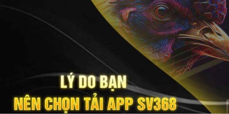 Ưu điểm khi bạn tải app SV368 về điện thoại
